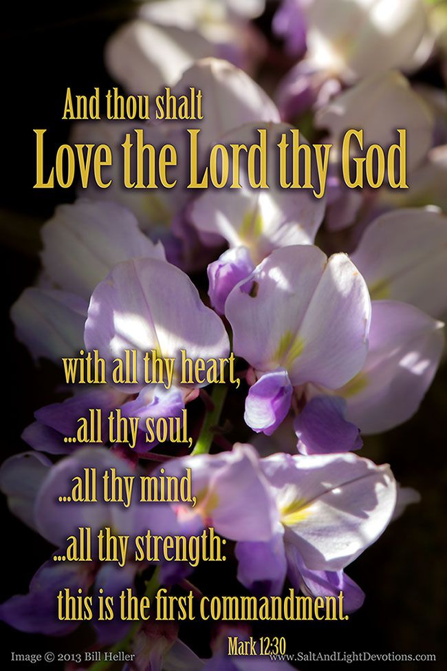 Mark 12 - 30 in the Bible 2017