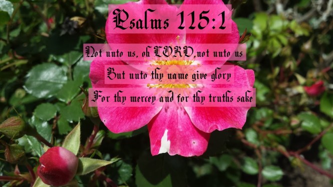 Psalms 115 verse 1 2018