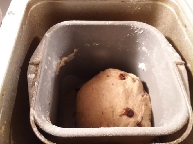 Raisin Bread 2018 4