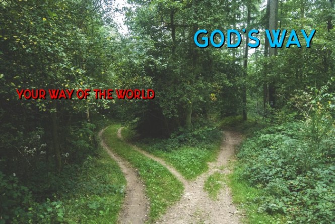 fork in the road 2018